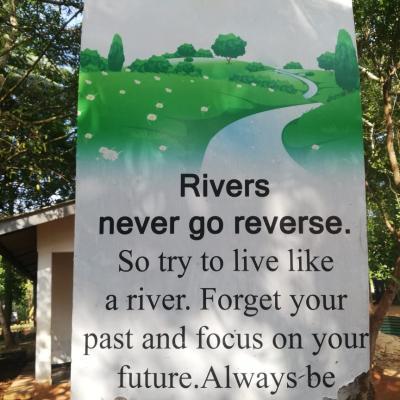 පරිසර ඉගැන්වීම් 