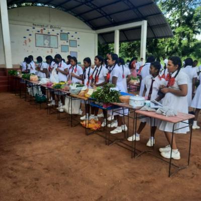 Whatsapp Image 2022 11 15 At 2.37.01 Pm Thumb